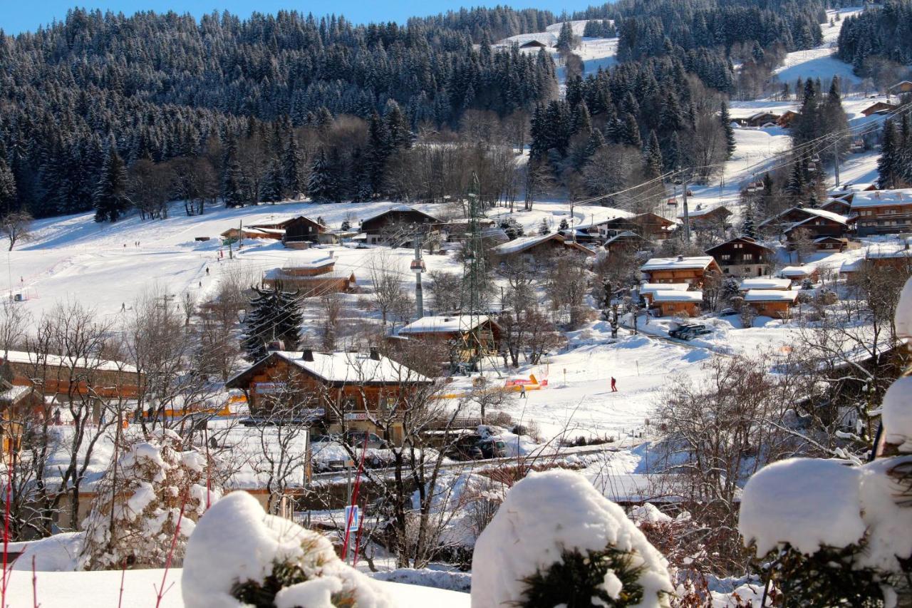Appartement 103M2 Pres De Megeve, 2 Chambres, Grand Garage, Tennis En Ete Demi-Quartier Eksteriør billede