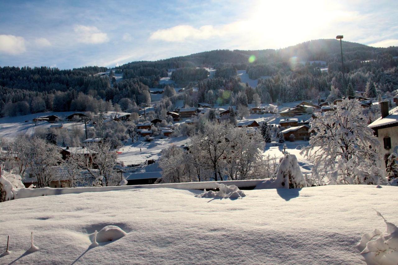 Appartement 103M2 Pres De Megeve, 2 Chambres, Grand Garage, Tennis En Ete Demi-Quartier Eksteriør billede